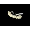 Buy cheap High Translucency Zirconia Dental Bridge Strong and Natural Looking for Seamless Smile Restoration from wholesalers