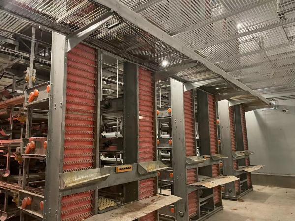 Buy cheap Poultry Farm Layer Chicken Cage / Full Automatic Chicken Raising Equipment from wholesalers