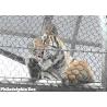 Buy cheap Zoo Flexible Stainless Steel Rope Mesh 304L 316 5mm from wholesalers