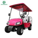 Raysince factroy directly supply golf trolley electric 2 seats mini golf buggy