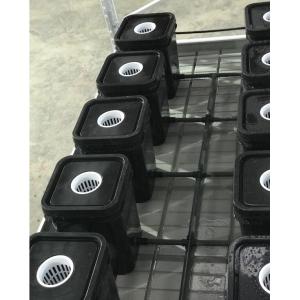 Buy cheap Medical Plants High Yield Aeroponic Grow Boxes Pollution Free product
