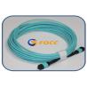 Buy cheap 100G 24 Fiber MTP MPO Breakout Cable Jacket 3.0mm Outer Sheath Polarity A from wholesalers