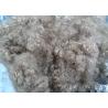 Buy cheap Custom Hollow Siliconised Fibre , High Tenacity Staple Fiber Polyester from wholesalers