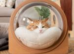 Warm And Cat Bed Capsule For Cat & Dog Made of Wood