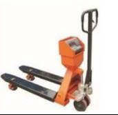 Quality Pallet Scale IN-FL017 for sale