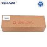 0 445 120 110 common rail fuel injector for Yuchai YC6J 0 445 120 110, Injector