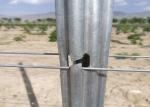 Professional Vineyard Trellis Stakes , Plant Support Pole Corrosion Resistance