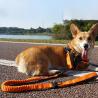 Buy cheap 4 Foot Dog Lead Black Dog Leash With Buckle Handle 4 Ft Dog Leash from wholesalers