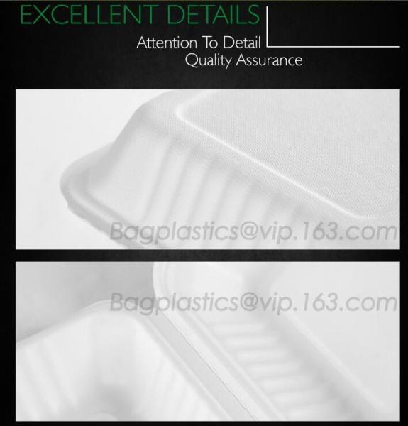 Buy cheap School lunch box, Fresh Preserved Compartment PLA Lunch Box, Disposable clear PLA square lunch box microwave safe from wholesalers