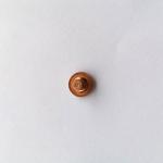 Round Head Stainless Steel Rivet Cold Heading For New Energy Vehicles