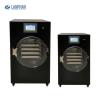 Buy cheap Mini Home Vacuum Freeze Dryer Fruit Vegetable Lyophilizer 15pa from wholesalers