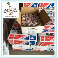 Buy cheap High Quality white garlic / red garlic / purple garlic Pure White Garlic product