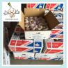 Buy cheap Fresh solo garlic 2016 fresh garlic high quality fresh dried garlic from wholesalers