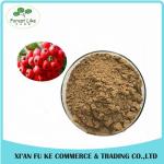 Anti Aging Fresh Hawthorn Extract Hawthorn Flavones