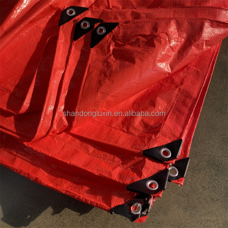 Waterproof and Tear Resistant Pe Tarpaulin 20x30 30x50 40x60 Sizes for Multiple Uses