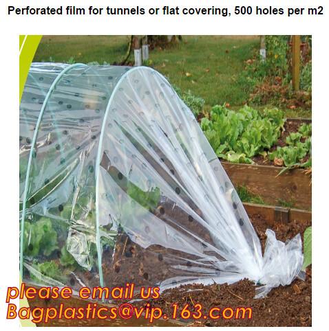 Buy cheap plastic tomatoes home garden polytunnel greenhouse film,Film Covering Tomato Planting Greenhouse,agricultural TUV polyet from wholesalers