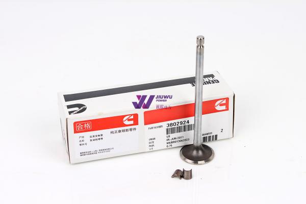 Buy cheap ISF3.8 QSB6.7 Intake Valve 3802924 Cummins Engine Parts from wholesalers