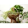 Buy cheap wicker basket manufacturer wicker garden basket willow plant baskets from wholesalers