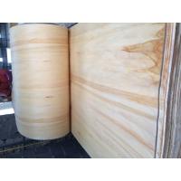 Buy cheap bleached poplar veneer, full poplar wood sheet product
