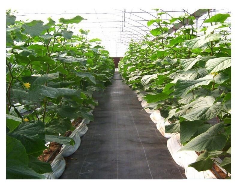 PP Woven 4mm Plastic Landscape Fabric HDPE Anti Weed Gardening Mat