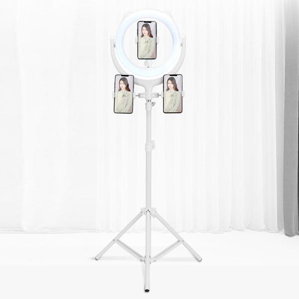 Buy cheap 168cm 3500K 10 Selfie Ring Light With Tripod Stand from wholesalers