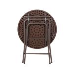 31.5 Inches Plastic Folding Tables Rustproof Steel Legs Natural aRattan Color