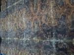 0.5mm Walnut Burl Veneer with Kraft Paper Back for Furniture Usage