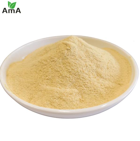 Buy cheap Plant Soya Source Amino Acid Foliar Fertilizer 60% Powder Glutamic Acid 20% For Field Crops from wholesalers