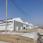Automated Ventilation Steel Frame Chicken Coop Management Poultry House