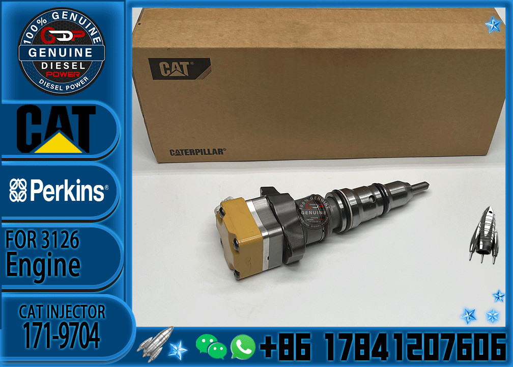 Common rail injector fuel injector 171-9710 218-4109 171-9704 222-5965 for 3216 Excavator 3126E 3126B