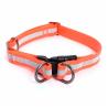 Buy cheap Flexible Waterproof Glow In The Dark Dog Collar For Daily Walking Swimming from wholesalers