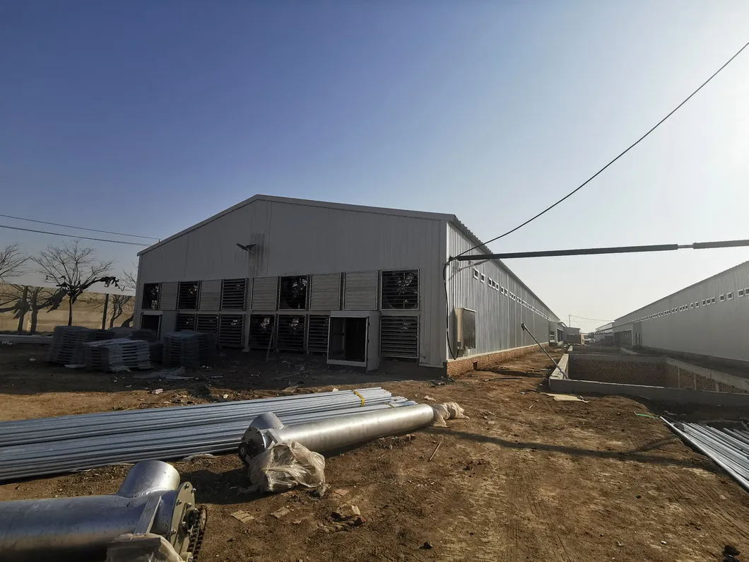 Prefabricated Glavanized Light Steel Structure Farm Poultry House Shed