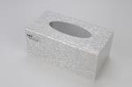 Mini Hidden Micro Camera DVR Recorder Tissue BOX toilet spy-camera motion