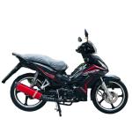 Good design high quality cheap import factory direct motor bikes 110cc cub