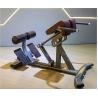 Buy cheap Fitness Equipment Back Exercise Adjustable Back Extension Roman Chair from wholesalers
