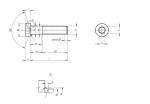 M6 X 20 DIN7984 Stainless Material With Low Head Hexagon Socket Head Screws