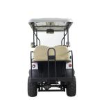 lifted Electric Golf Car Off Road Hunting Car with Lithium Battery & Curtis