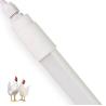 Buy cheap Healthy Egg LED Poultry Tube Light with 160LM/W 23W, 120CM, Triac and 0-10V Dimmable from wholesalers