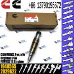 2029622 Genuine Diesel Common Rail Fuel Injector 1948565 2030519 2031836 2031835