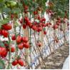 Buy cheap Construction Bamboo Raw Material from wholesalers