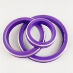 Accept Custom Oil Resistant FKM/NBR/HNBR/PTFE Rubber Hammer Union Seals For Oil
