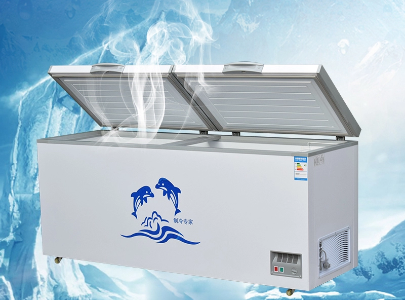 R600A Top Open Deep Freezer 110L EU A ++ Energy Consumption