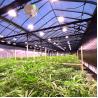 Buy cheap Light Deprivation Plastic Agriculture Blackout Single Span Greenhouse For Medical from wholesalers