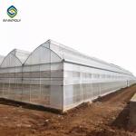 Saw Tooth Roof Vents Span Plastic Film Greenhouse For Tropical Climate