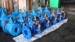 Brass body Pressure Reducing Valve Ductile Iron EN 1563 GGG-40