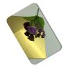 Buy cheap ODM 405 409 Mirror Finish Stainless Steel Sheet 1000mm Color Plated 429 430 434 from wholesalers