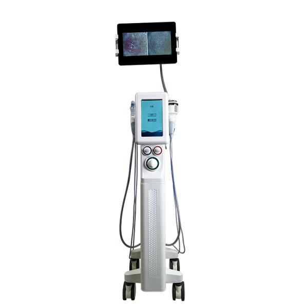Buy cheap 6 In 1 Hydra Beauty Machine Hydrodermabrasion Facial Cleaning Salon Equipment from wholesalers