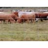 Buy cheap Galvanized High Tensile Livestock Wire Cattle Fencing 50m 100m Length from wholesalers