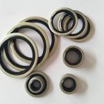 Custom NBR Oil Resistance Bonded Seal Customized Size Rubber Iron Seal Washer