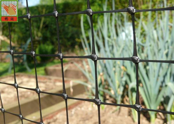 Buy cheap Plastic Farm Agricultural Netting For Gardening / Horticulture 2 Meters Height from wholesalers